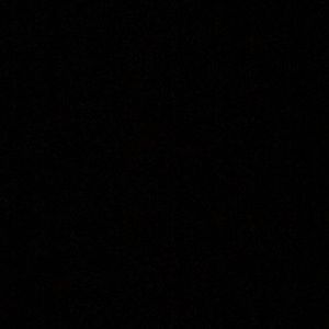 Meet your Posher, Wilfredo